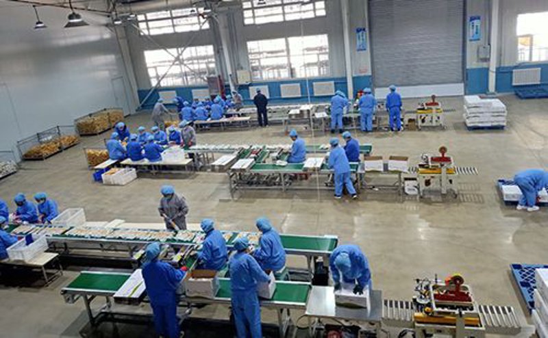 信用卡催收:从安装到维护的全过程